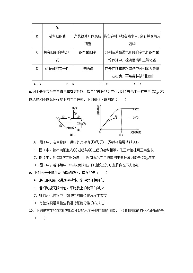 期末模拟卷02（拔高卷）——高一生物下学期期末考试专项训练学案+ 期末模拟卷（2019浙科版）03