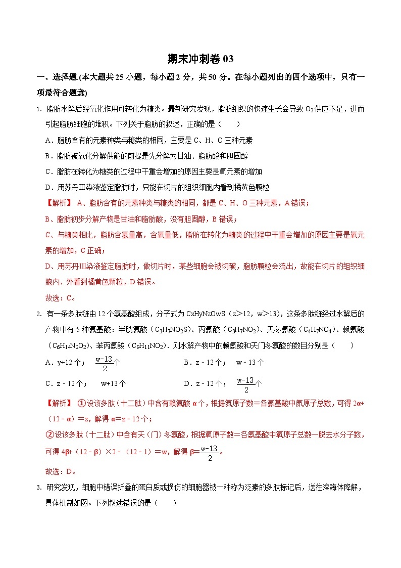 期末模拟卷03（基础卷）——高一生物下学期期末考试专项训练学案+ 期末模拟卷（2019浙科版）01