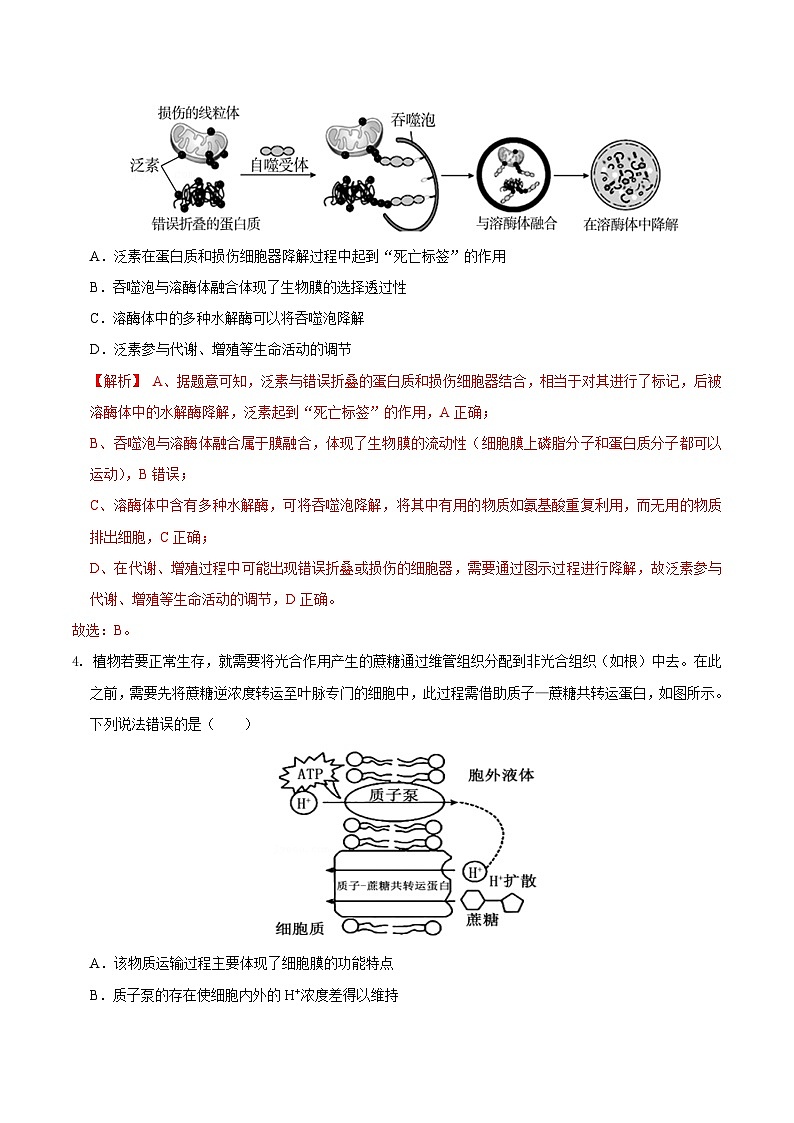 期末模拟卷03（模拟卷）——高一生物下学期期末考试好题汇编+期末模拟卷（2019浙科版）（解析版）第2页