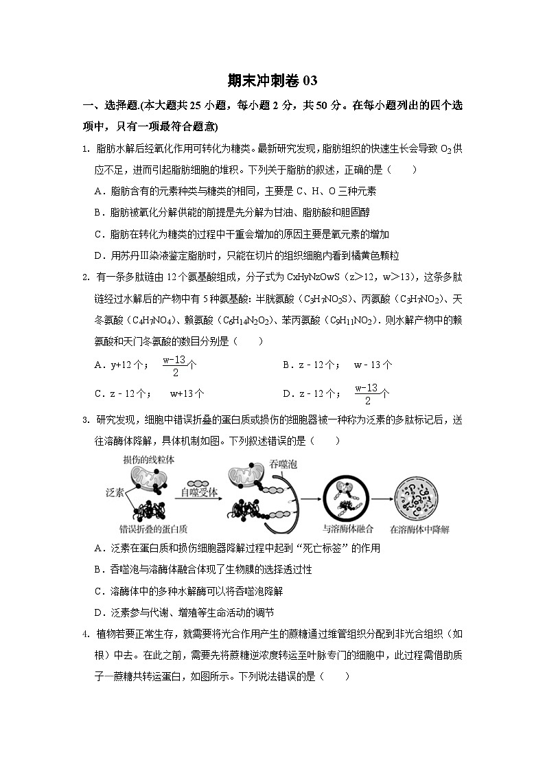 期末模拟卷03（模拟卷）——高一生物下学期期末考试好题汇编+期末模拟卷（2019浙科版）（原卷版）第1页