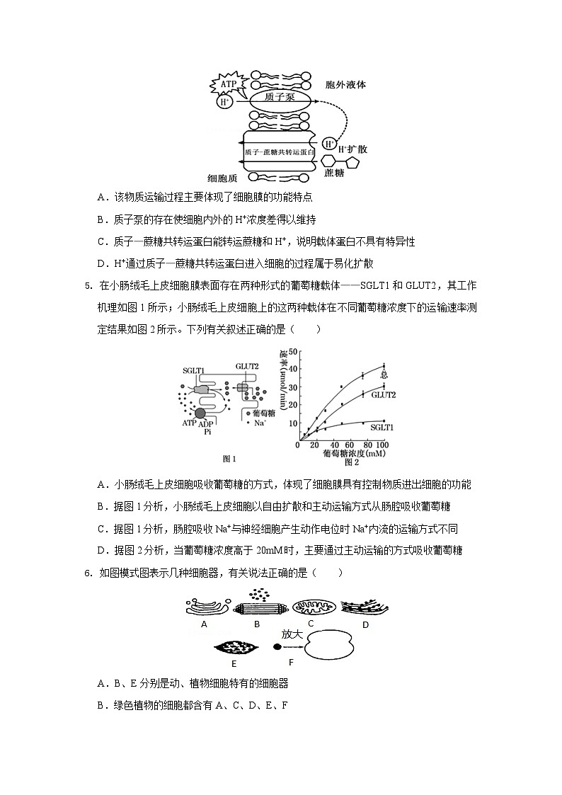 期末模拟卷03（模拟卷）——高一生物下学期期末考试好题汇编+期末模拟卷（2019浙科版）（原卷版）第2页