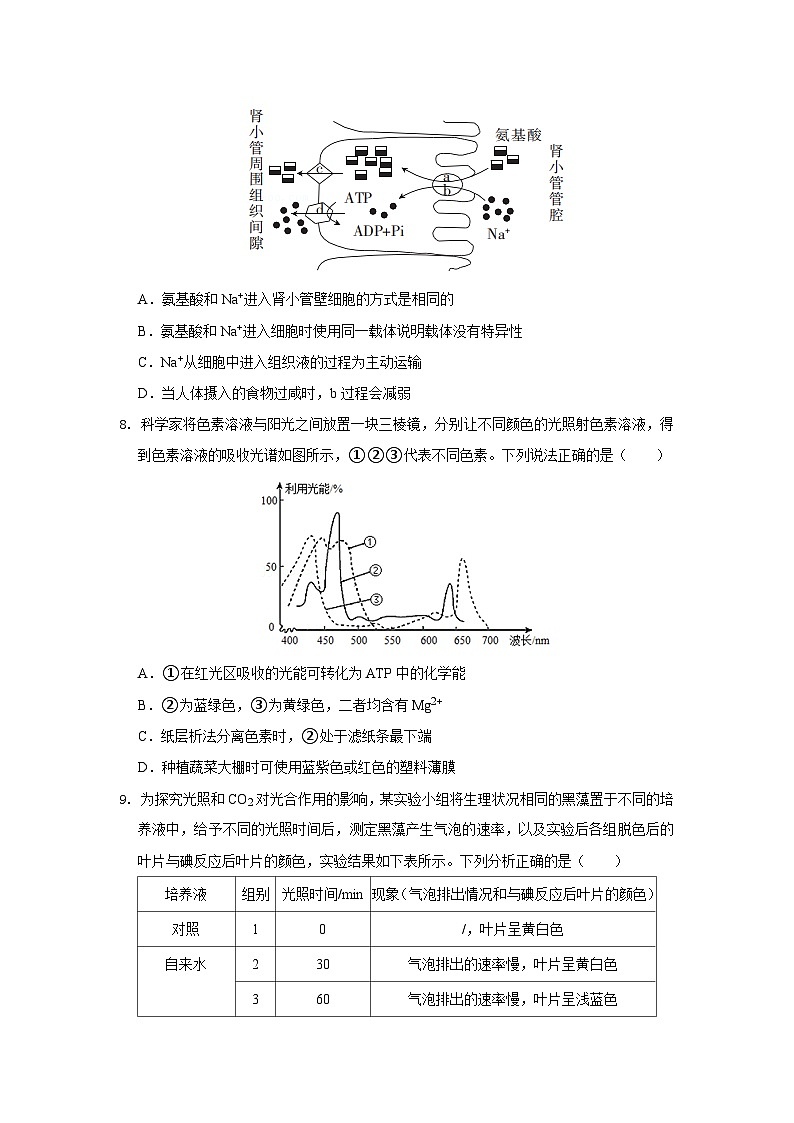 期末模拟卷03（拔高卷）——高一生物下学期期末考试好题汇编+期末模拟卷（2019浙科版）（原卷版）第3页