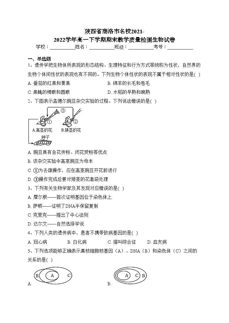 陕西省商洛市名校2021-2022学年高一下学期期末教学质量检测生物试卷(含答案)第1页