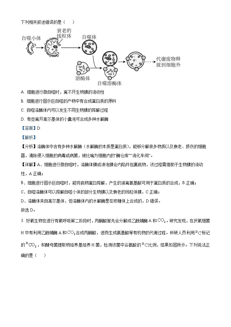 精品解析：2023届湖南省“一起考”大联考高三5月模拟考试生物试题（解析版）02