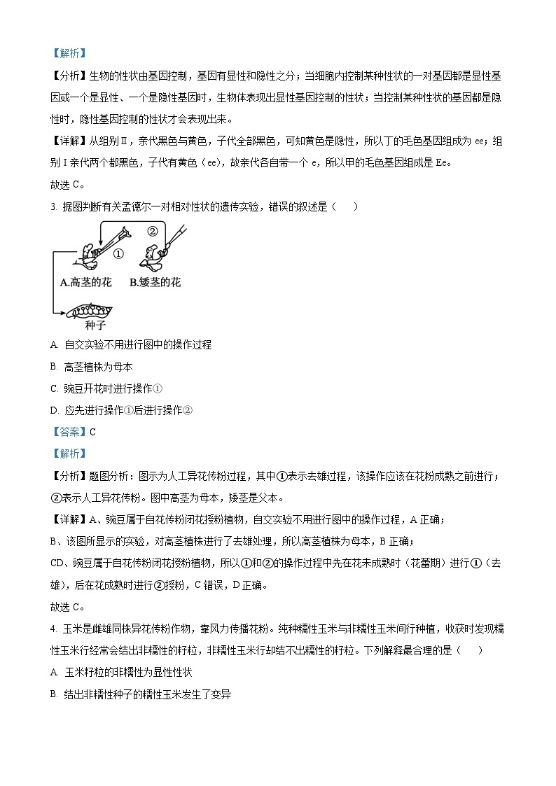 精品解析：云南省昆明市一中2022-2023学年高一下学期期中生物试题（解析版）02