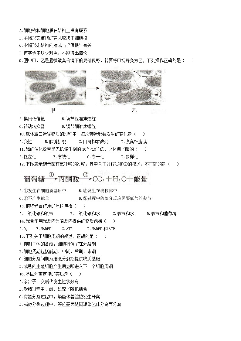 湖南省2023年普通高中学业水平合格性考试模拟卷（三）生物试题第2页