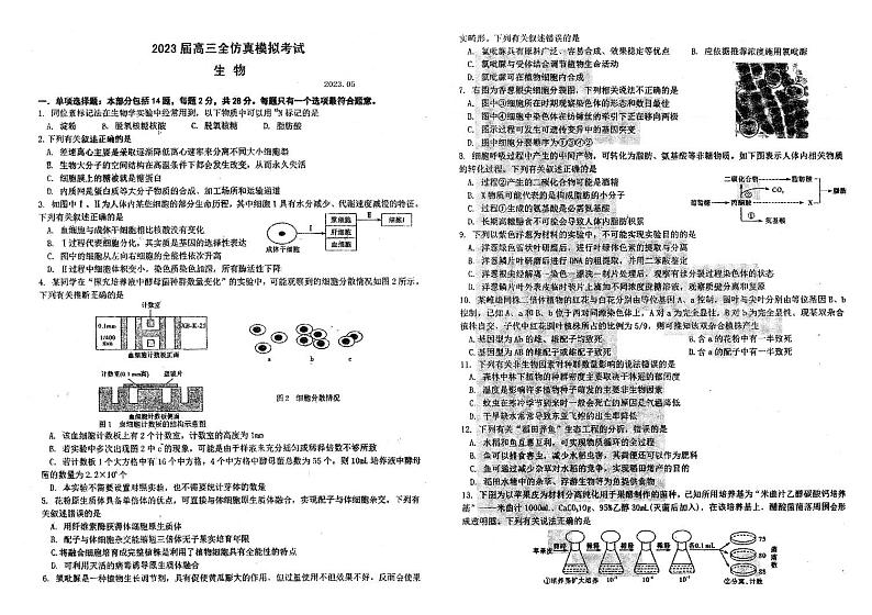 江苏省盐城中学2023届高三全真模拟生物试卷第1页