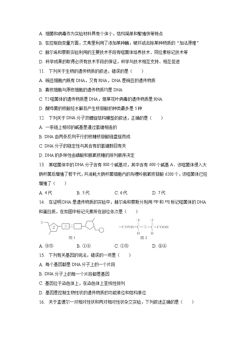 2022-2023学年山东省聊城市高一（下）期中生物试卷（含解析）03