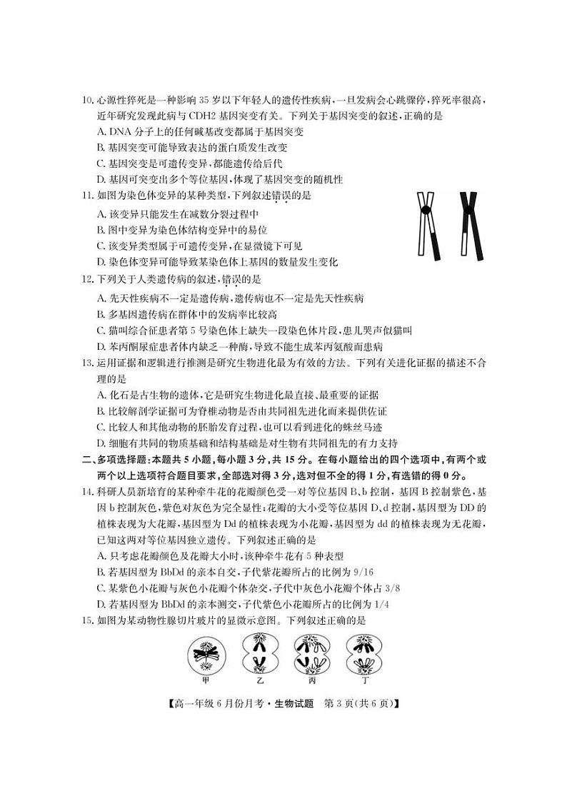 河北省沧州市盐山中学、海兴中学、南皮中学等校2022-2023学年高一下学期6月月考生物试卷（PDF版）03