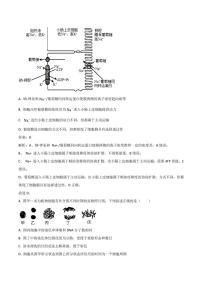 江苏省宿迁市部分学校2021-2022学年高二下学期期末考试生物试卷（含解析）