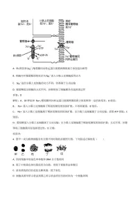 江苏省宿迁市部分学校2021-2022学年高二下学期期末考试生物试卷(含解析)