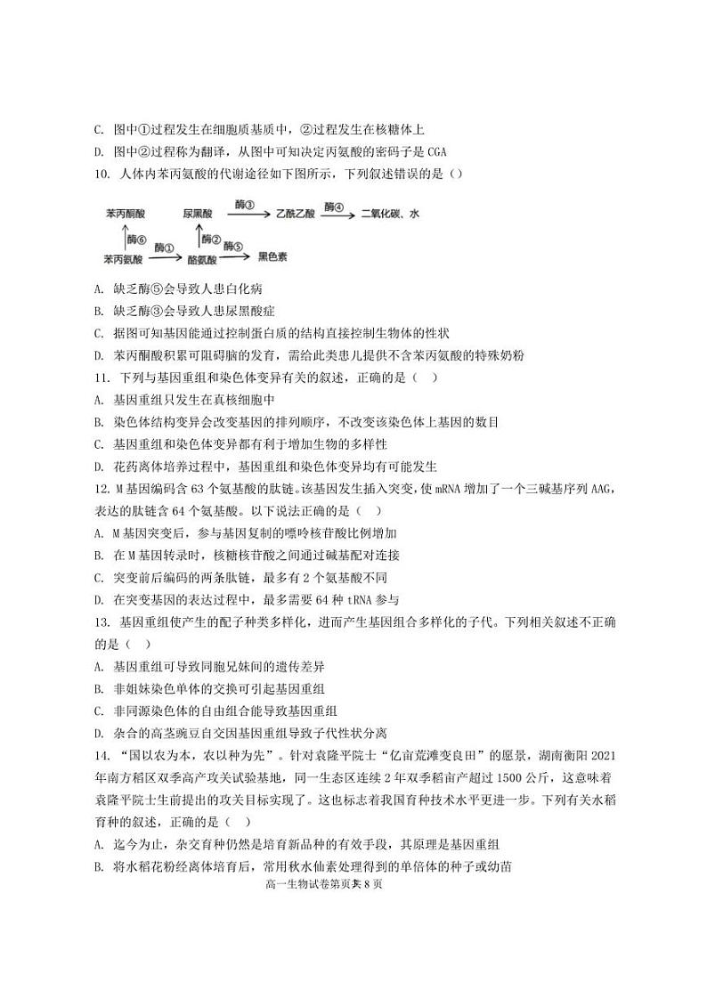 江苏省盐城市五校2022-2023学年高一下学期期中联考生物试卷（PDF版）03
