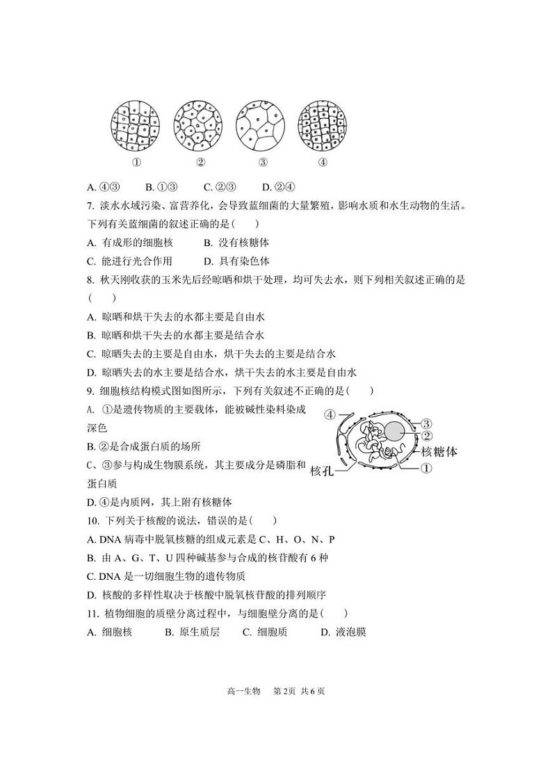 山西省怀仁市第一中学校云东校区2022-2023学年高一下学期第一次月考生物试卷02
