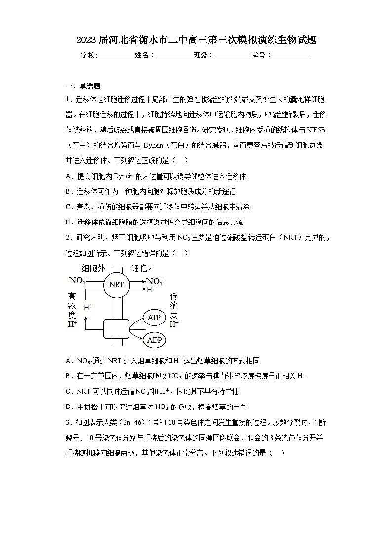 2023届河北省衡水市二中高三第三次模拟演练生物试题（含解析）第1页