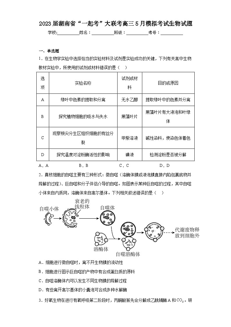 2023届湖南省“一起考”大联考高三5月模拟考试生物试题（含解析）第1页
