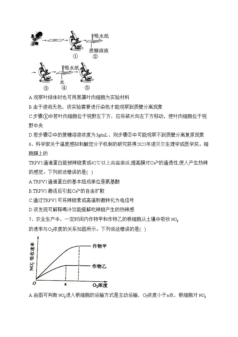 陕西省西安市长安区2021-2022学年高一下学期期末考试生物试卷(含答案)02