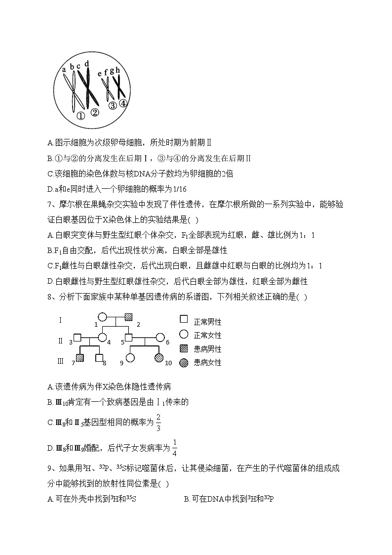 延安市第一中学2021-2022学年高一下学期期末考试生物试卷(含答案)02