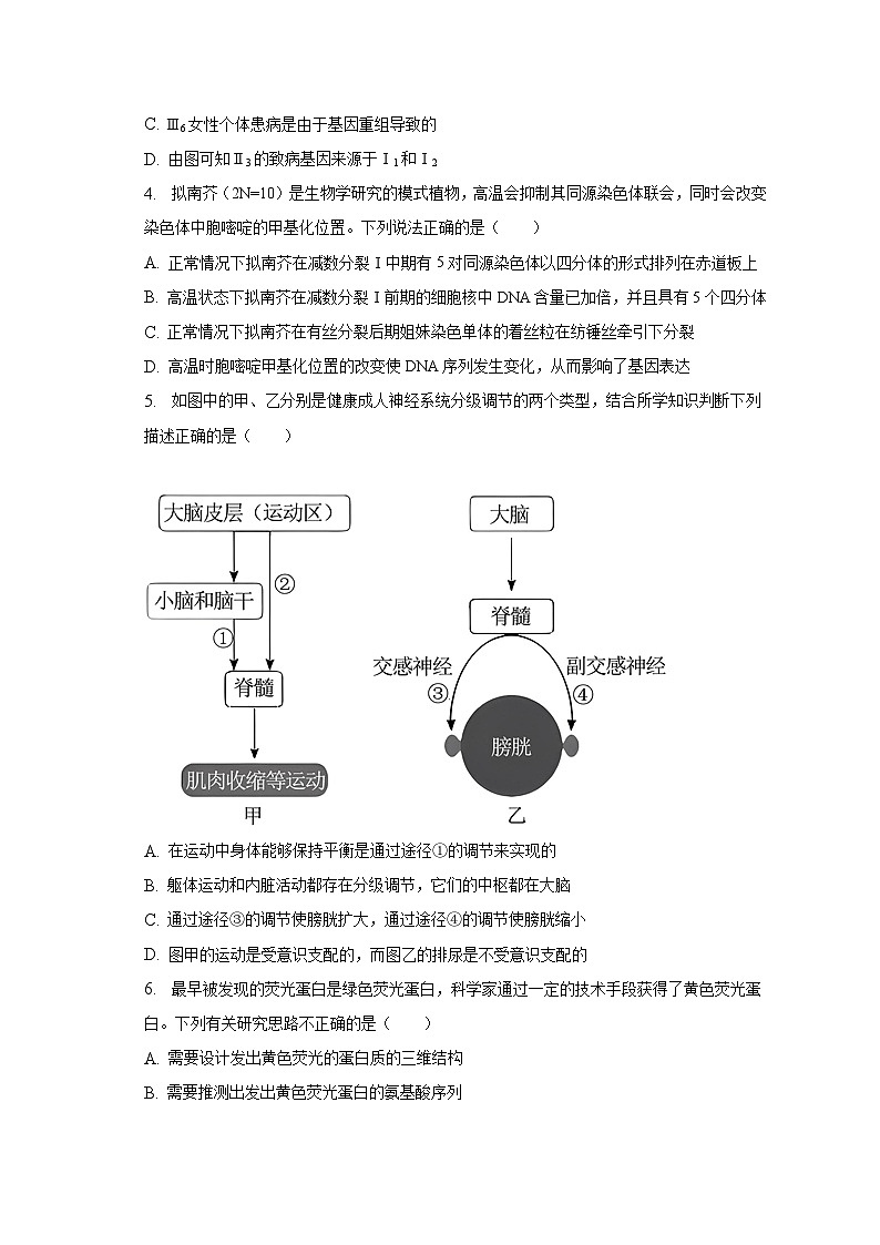 2023年安徽省蚌埠市高考生物第四次质检试卷（含解析）第2页