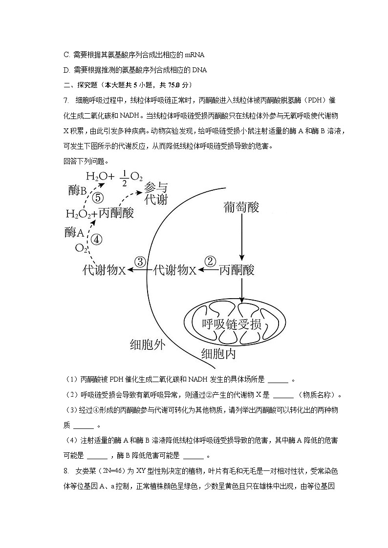 2023年安徽省蚌埠市高考生物第四次质检试卷（含解析）第3页