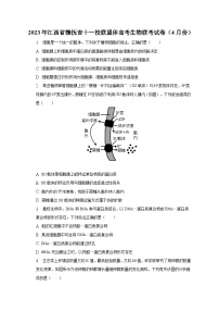 2023年江西省赣抚吉十一校联盟体高考生物联考试卷（4月份）（含解析）