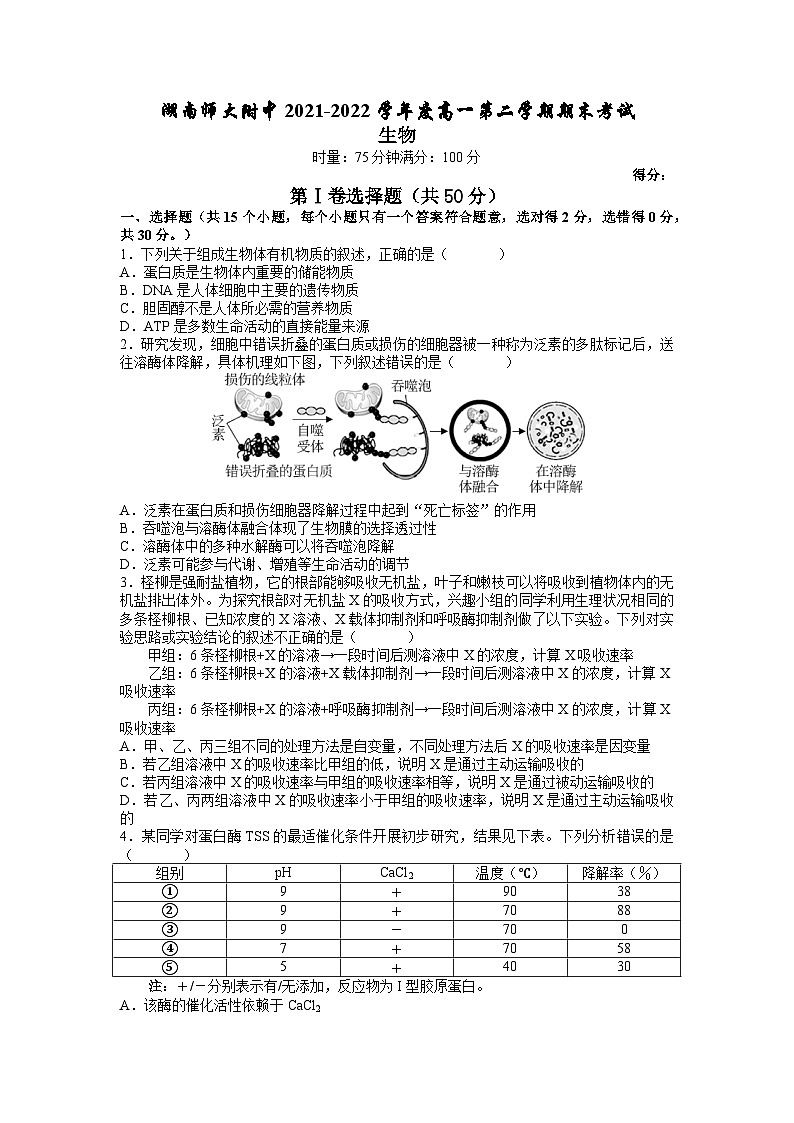 2021-2022学年湖南师范大学附属中学高一下学期期末考试生物试题01