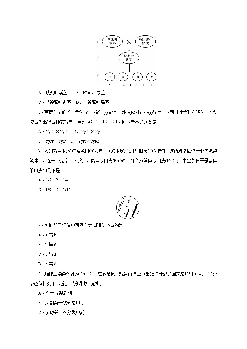 湖南师范大学附属中学2015-2016学年高一下学期期末考试生物试题02