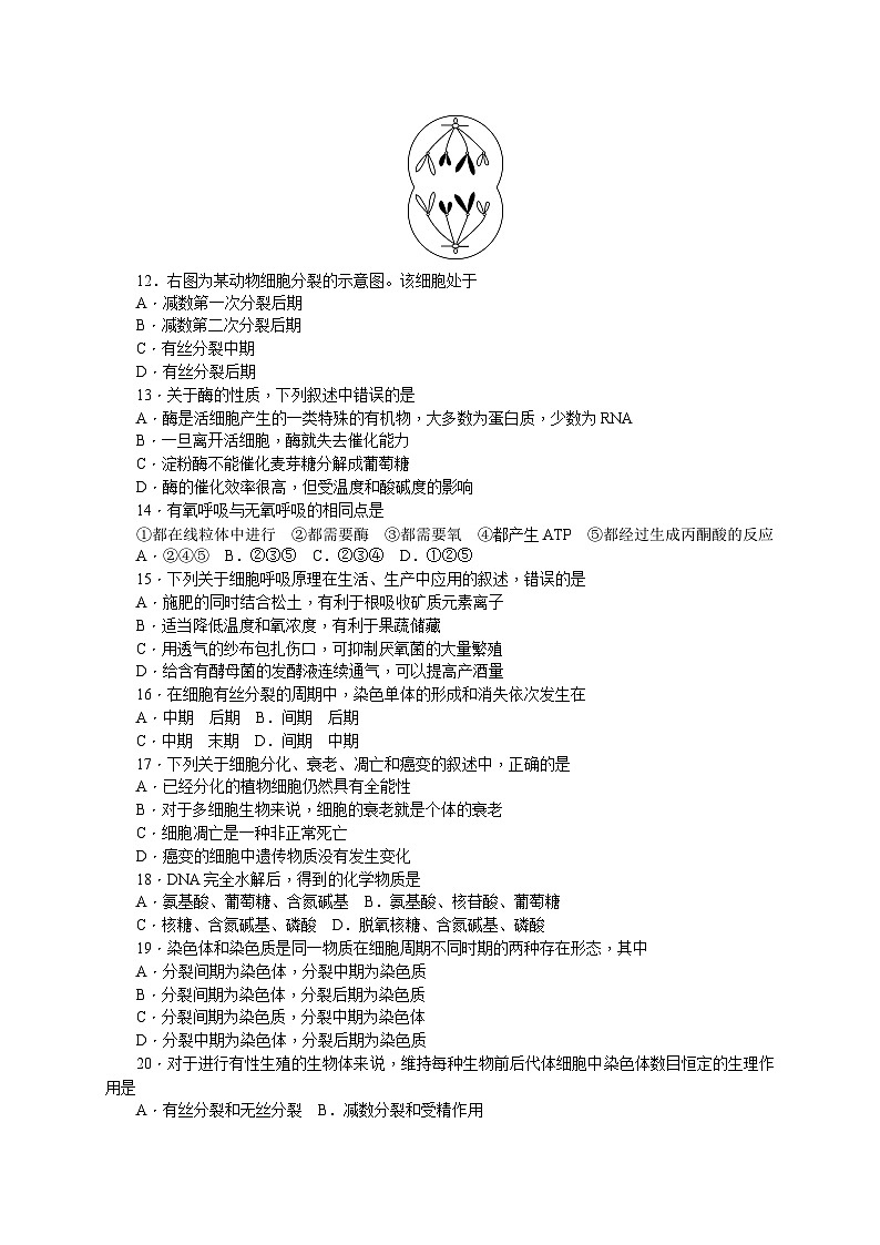 湖南师范大学附属中学2016-2017学年高一下学期期中考试生物试题第2页