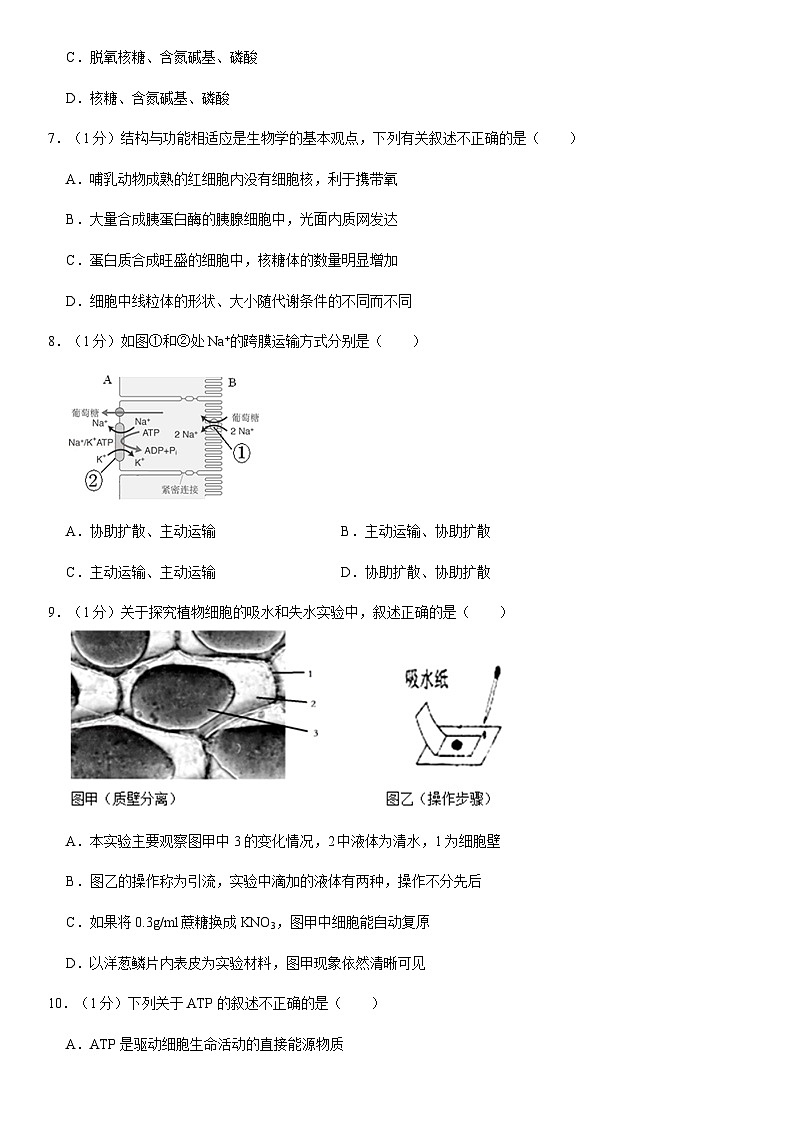 2020北京房山高一（上）期末生物（教师版） 试卷02