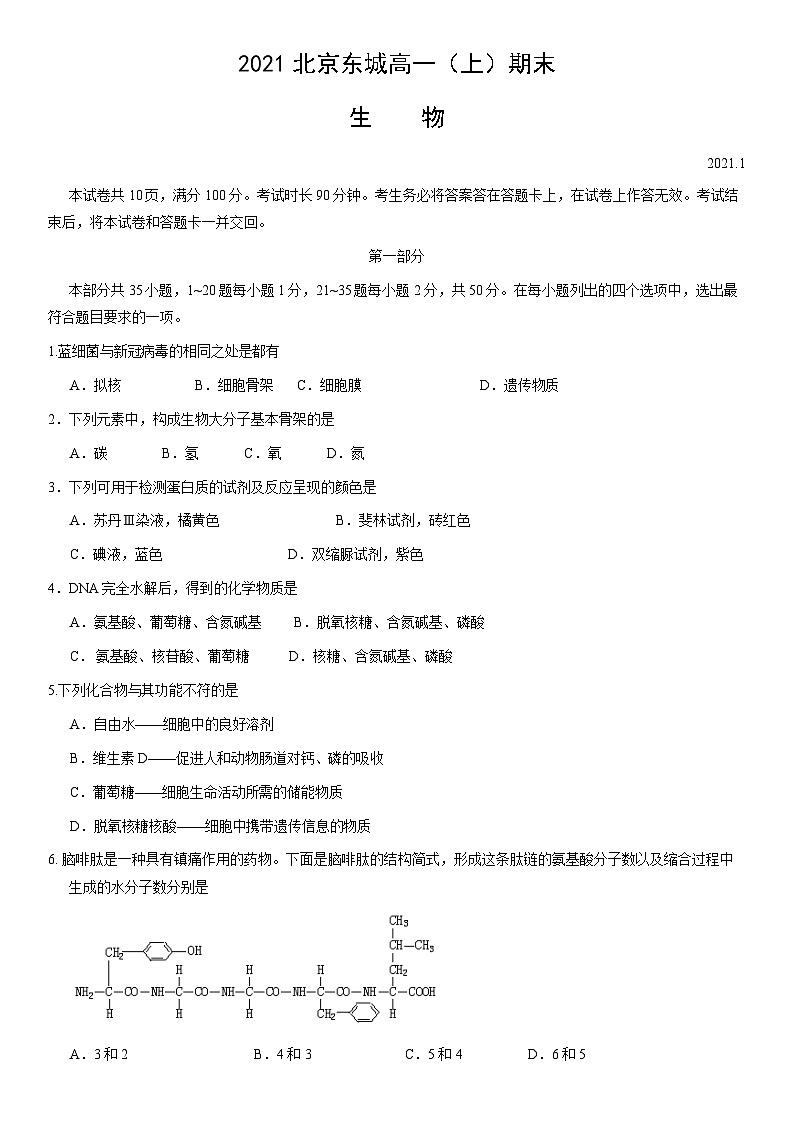 2021北京东城高一（上）期末生物（教师版） 试卷01