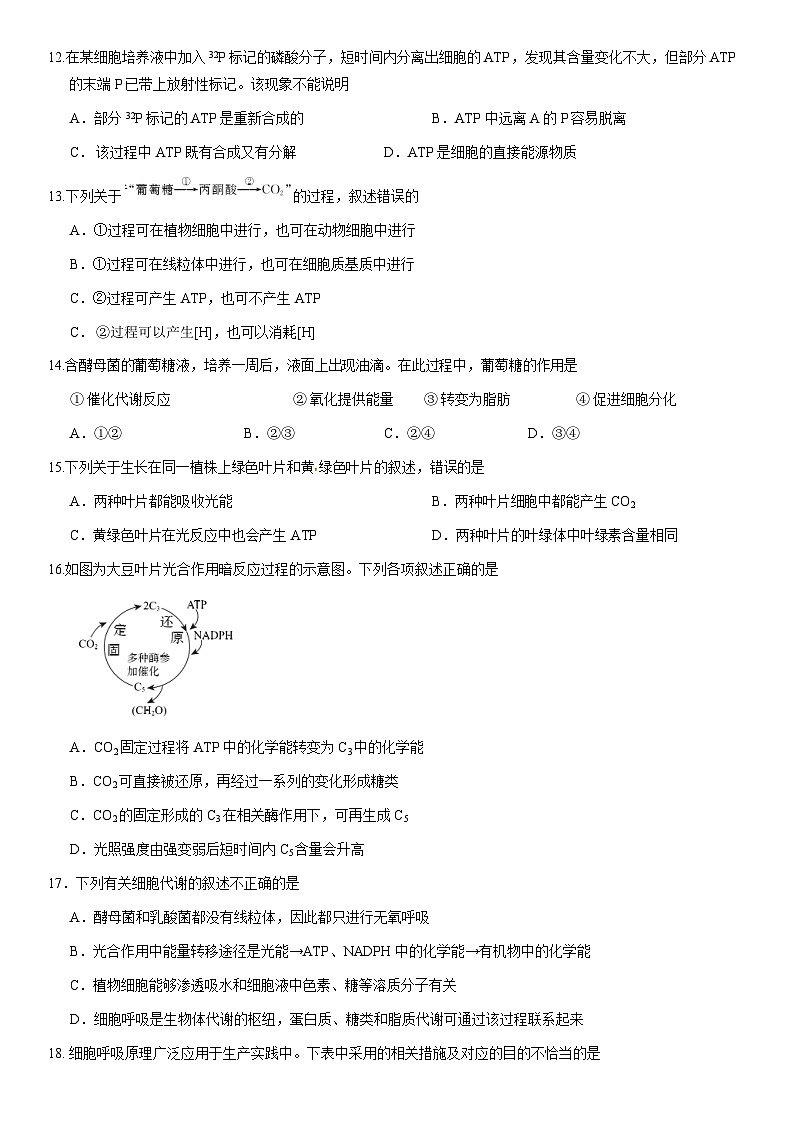 2021北京东城高一（上）期末生物（教师版） 试卷03