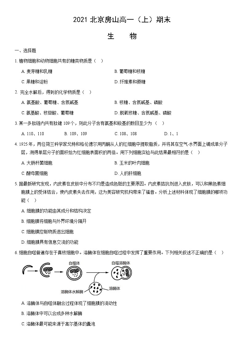 2021北京房山高一（上）期末生物（教师版） 试卷01