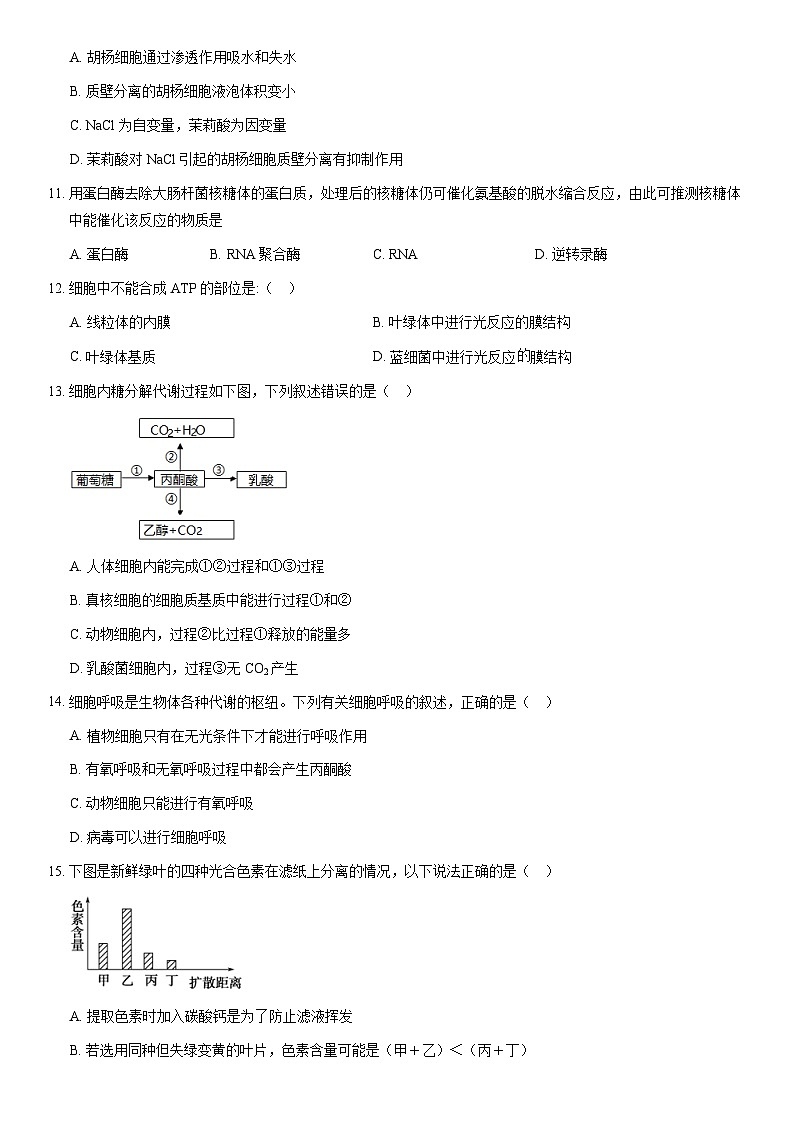 2021北京房山高一（上）期末生物（教师版） 试卷03