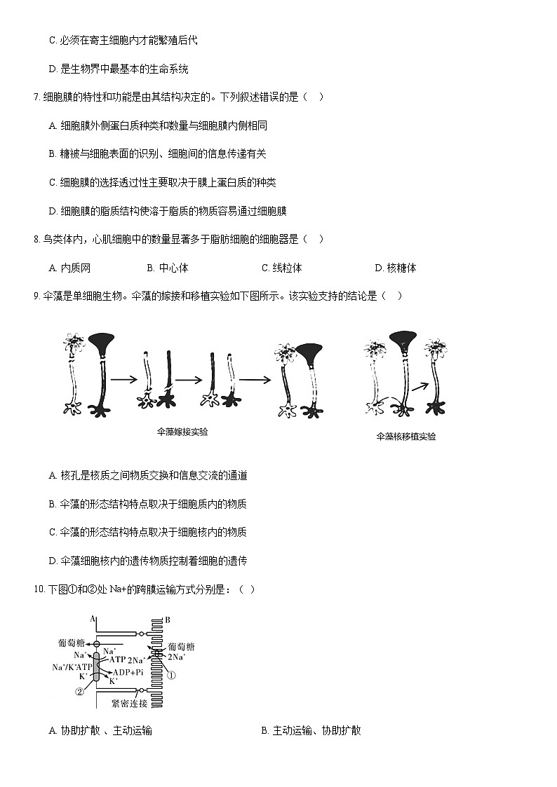 2021北京平谷高一（上）期末生物（教师版） 试卷02