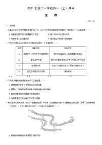 2021北京十一学校高一（上）期末生物（教师版）