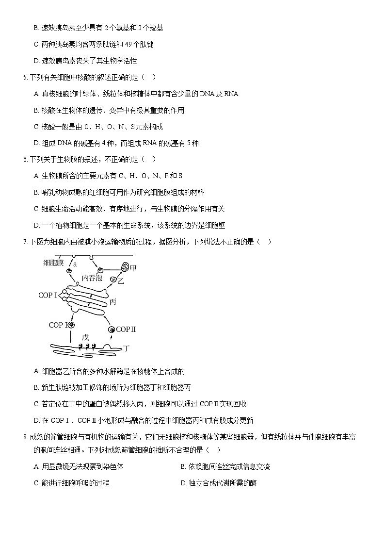 2021北京十一学校高一（上）期末生物（教师版）第2页
