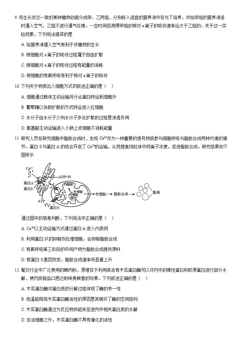 2021北京十一学校高一（上）期末生物（教师版）第3页