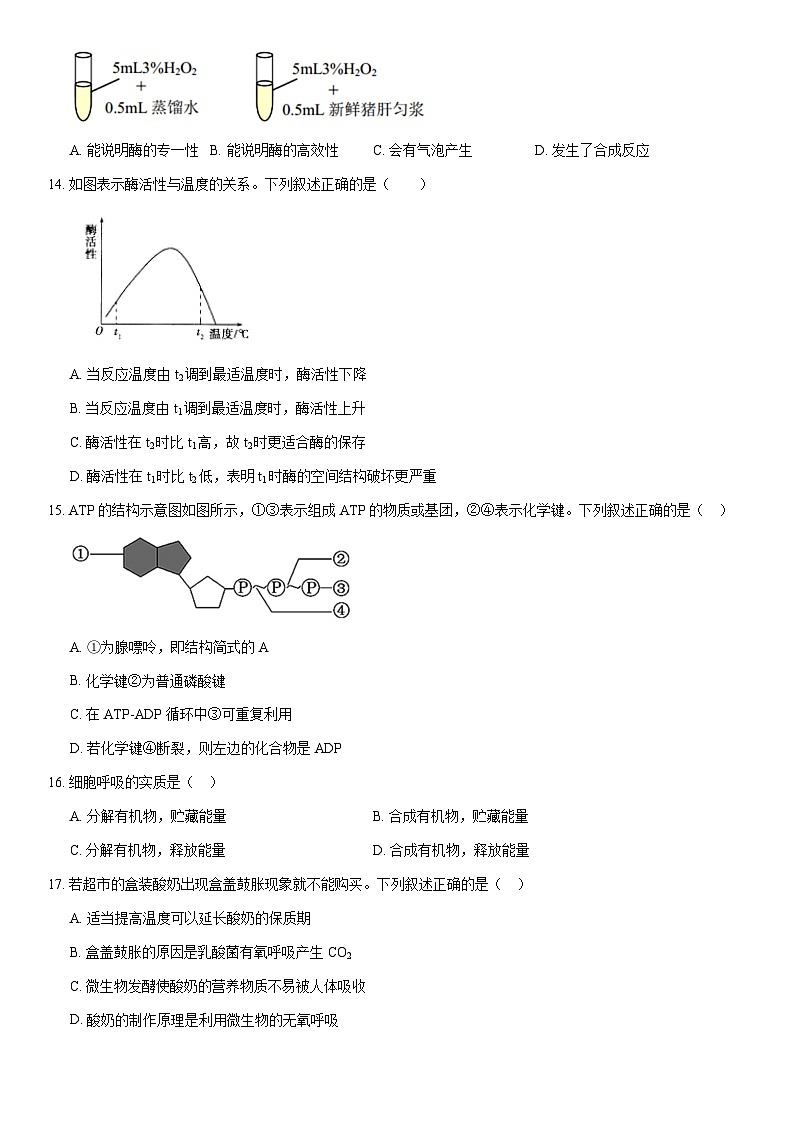 2021北京石景山高一（上）期末生物（教师版）第3页