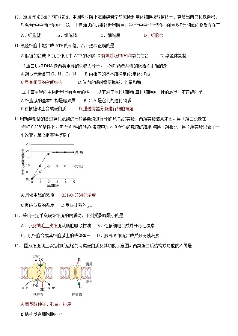 2021北京首都师大附中高一（上）期末生物（教师版） 试卷02