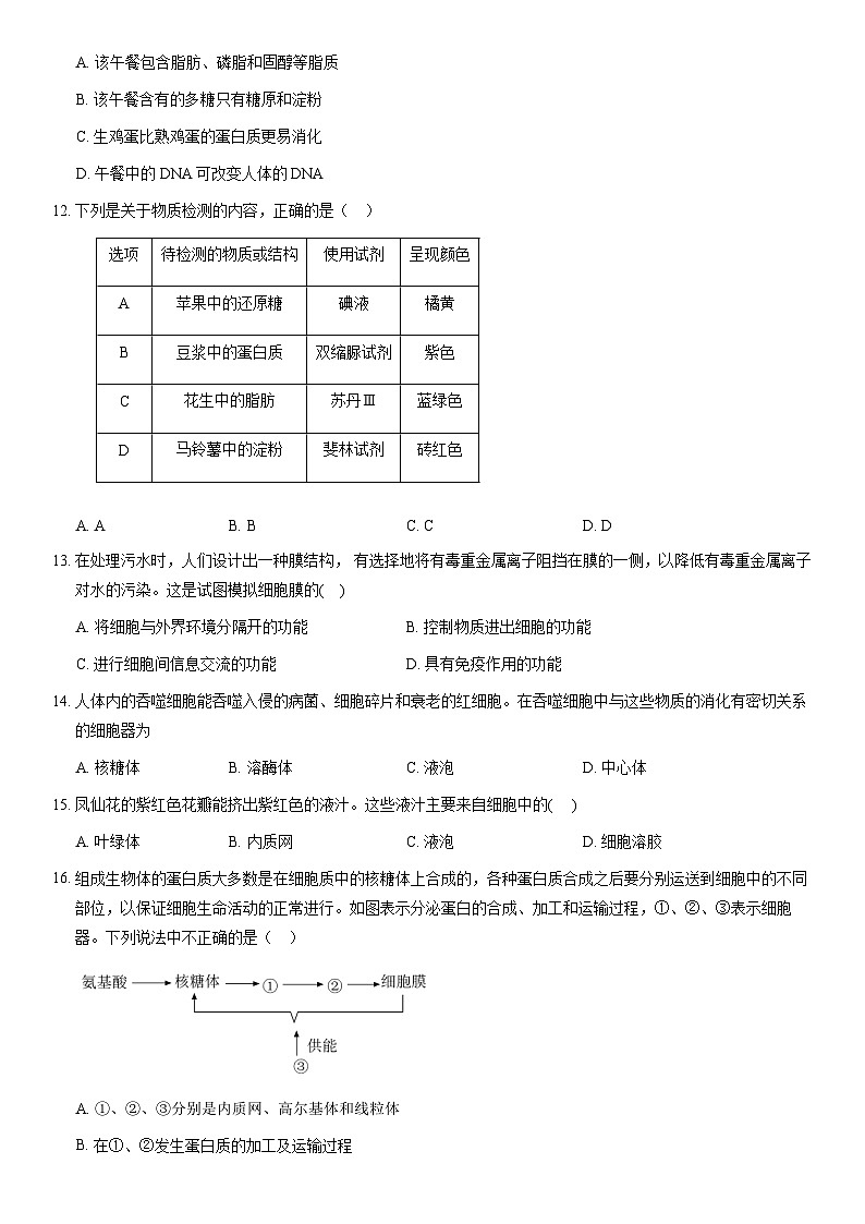 2021北京一零一中学高一（上）期末生物（教师版）第3页