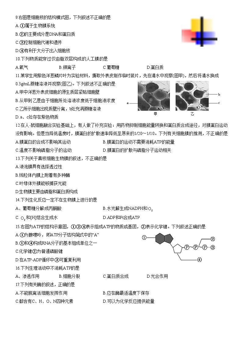2022北京海淀高一（上）期末生物（教师版）第2页