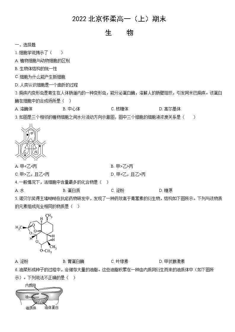 2022北京怀柔高一（上）期末生物（教师版）第1页