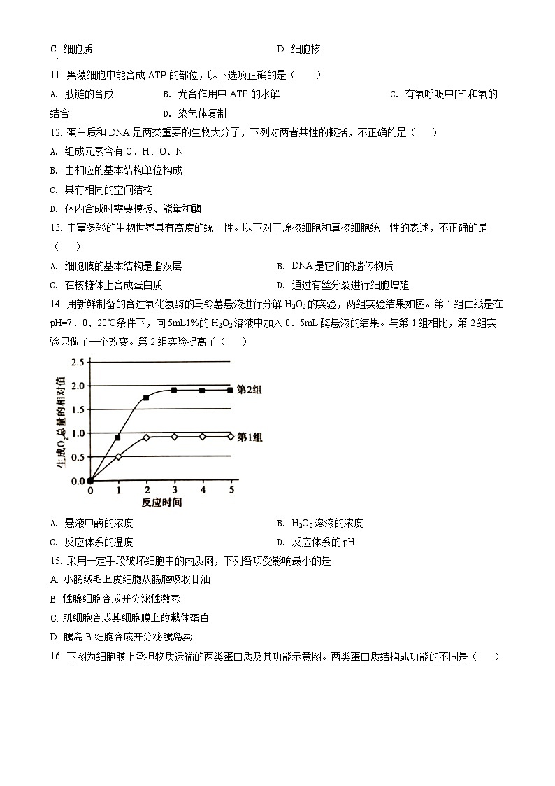 2022北京首都师大附中高一（上）期末生物（教师版）第2页