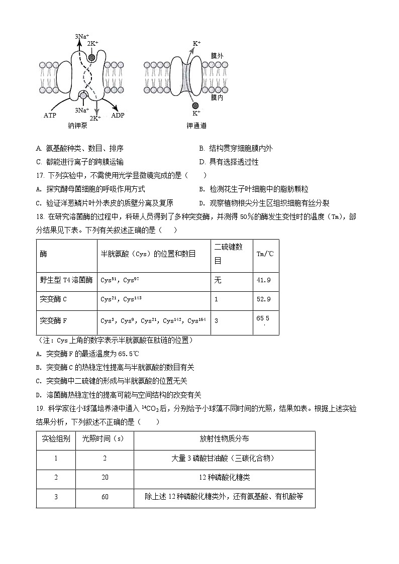 2022北京首都师大附中高一（上）期末生物（教师版）第3页