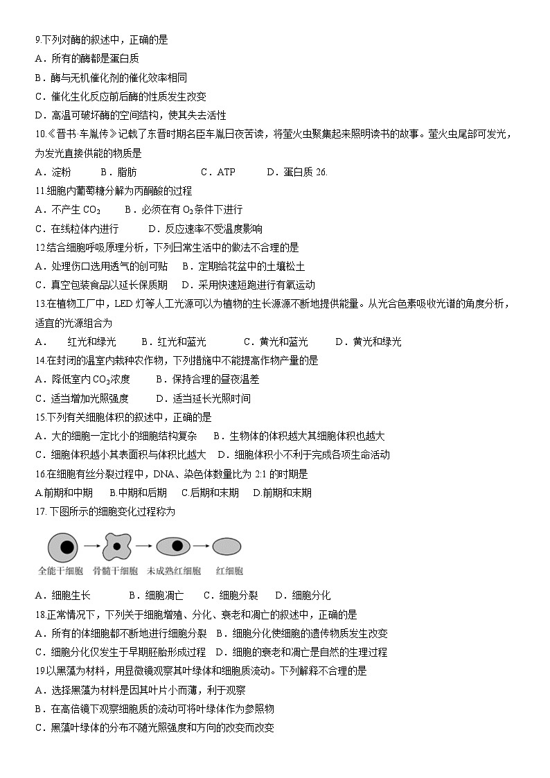2022北京顺义高一（上）期末生物（教师版）第2页