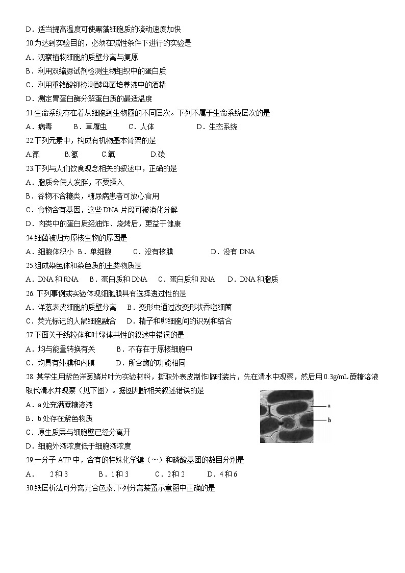 2022北京顺义高一（上）期末生物（教师版）第3页