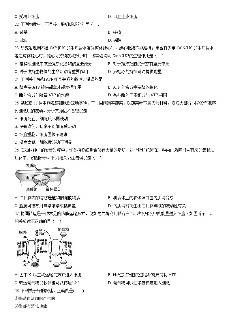 2022北京延庆高一（上）期末生物（教师版） 试卷03