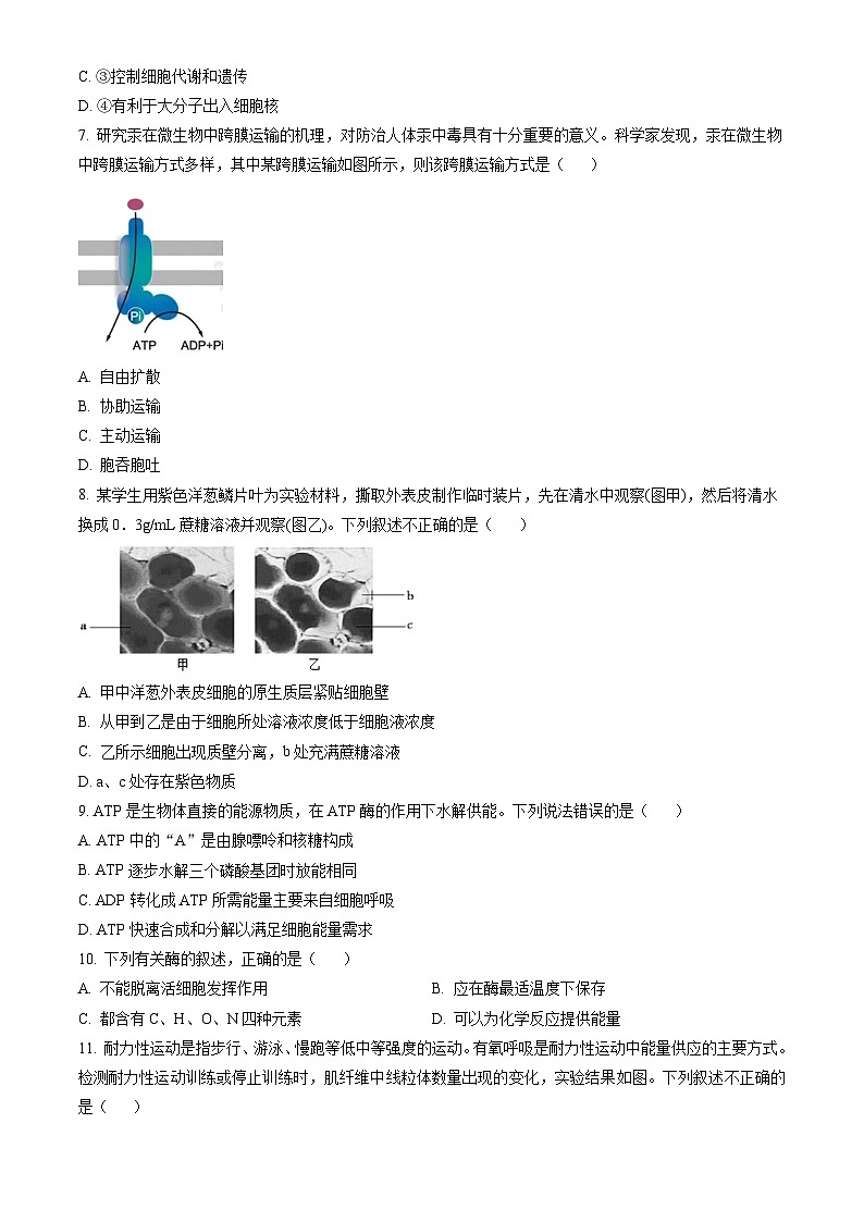 2023北京北师大附中高一（上）期末生物（教师版） 试卷02