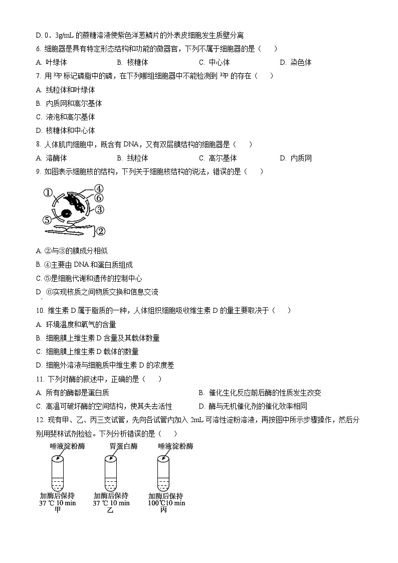 2023北京大兴高一（上）期末生物（教师版） 试卷02