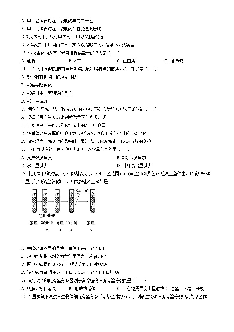 2023北京大兴高一（上）期末生物（教师版） 试卷03