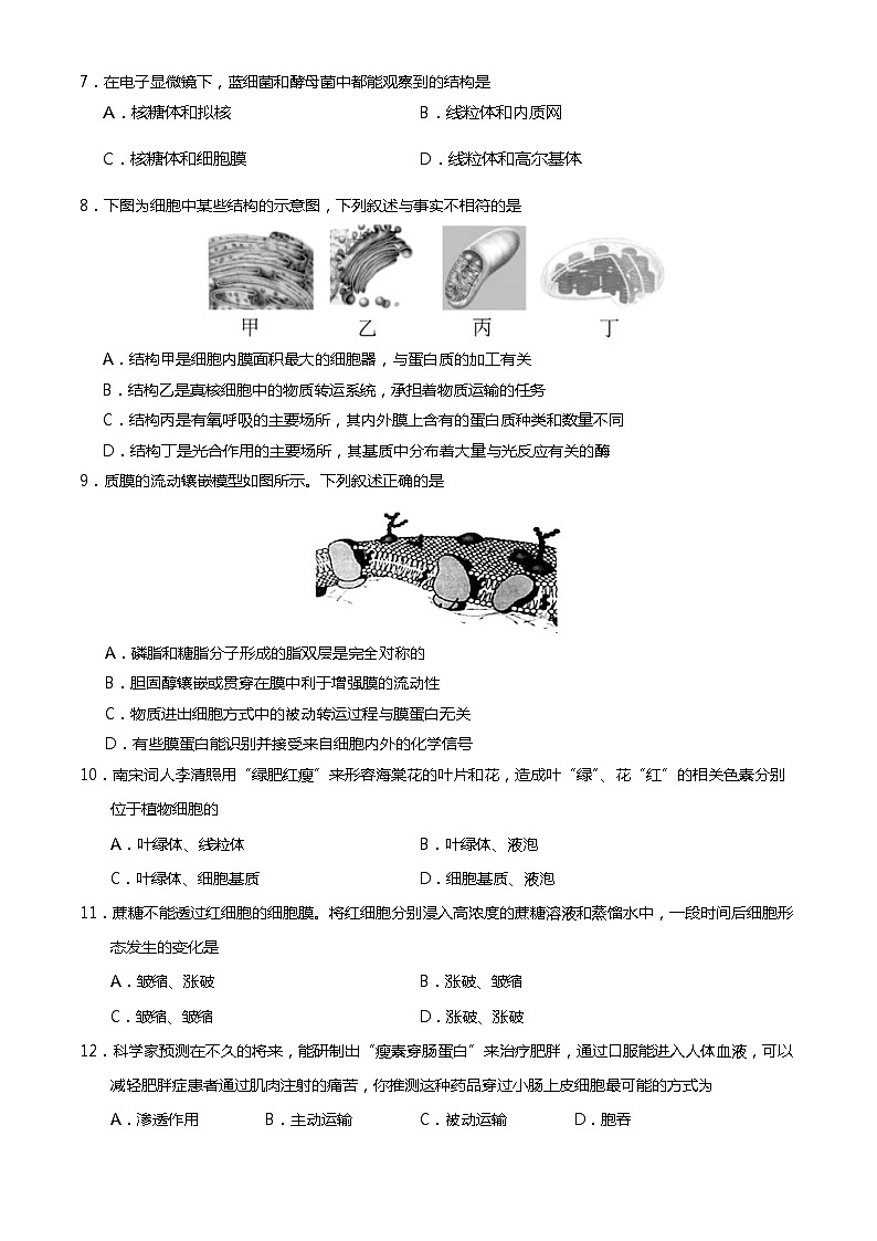 2023北京房山高一（上）期末生物（教师版）第2页